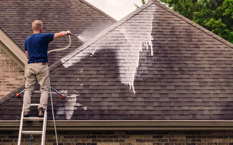 Roof Cleaning